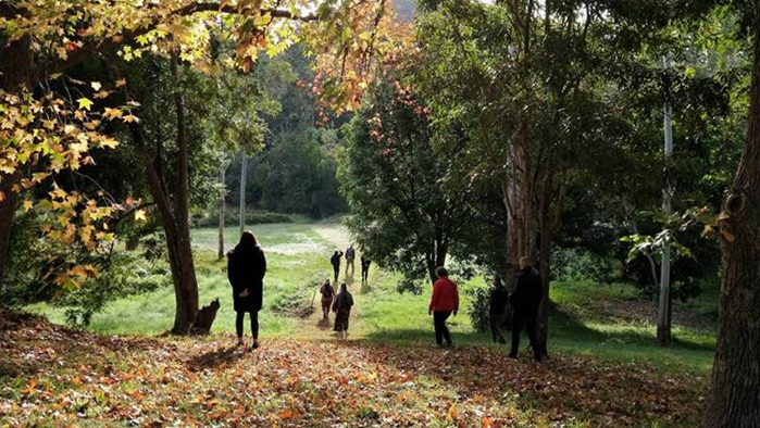 A group of people walking through a forest

Description automatically generated with medium confidence